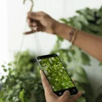 Découvrez ces applications pour identifier les plantes