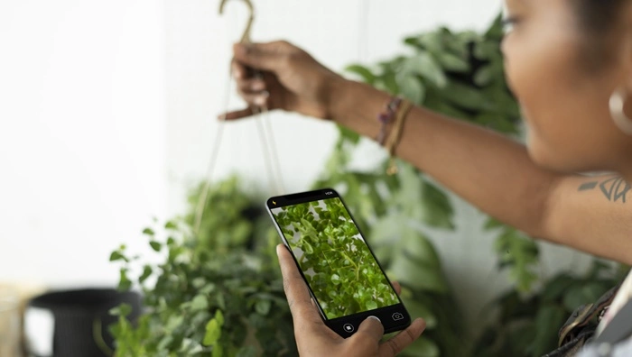 Découvrez ces applications pour identifier les plantes